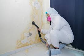 Best Commercial Mold Inspection  in Glespie, IL